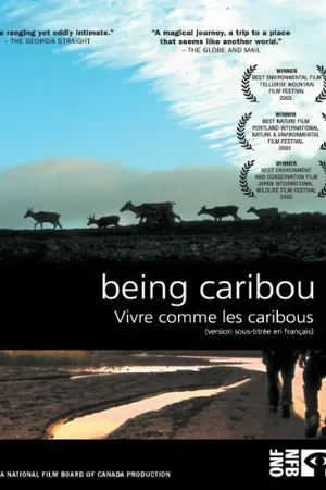 Постер к фильму Being Caribou (2004)