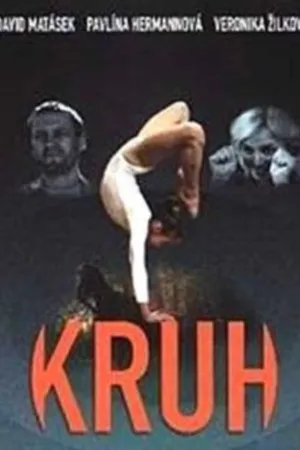 Постер к фильму Круг (2001)