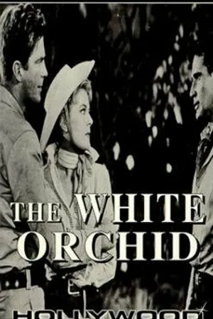 Постер к фильму The White Orchid (1954)