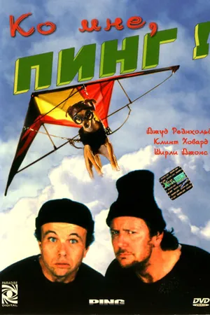Постер к фильму Ко мне, Пинг! (2000)