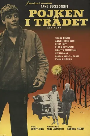 Постер к фильму Мальчик на дереве (1961)