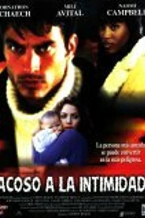 Постер к фильму Вторжение в личную жизнь (1996)
