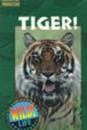 Постер к фильму Tiger! (1997)