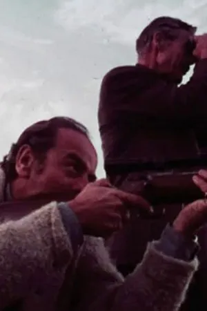 Постер к фильму Какова причина (1970)