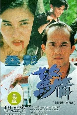 Постер к фильму Da ying jing qing lu ye zhui ji (1993)