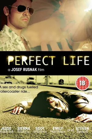 Постер к фильму Идеальная жизнь (2010)