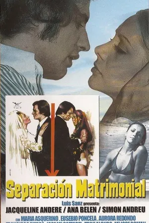 Постер к фильму Развод (1973)