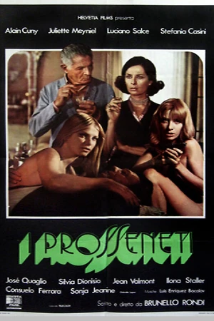 Постер к фильму Сводники (1976)