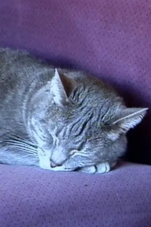Постер к фильму Nine Lives (The Eternal Moment of Now) (2001)
