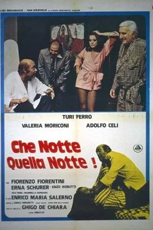 Постер к фильму Che notte quella notte! (1977)