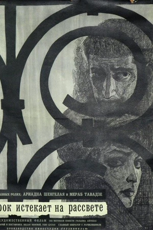 Постер к фильму Срок истекает на рассвете (1965)