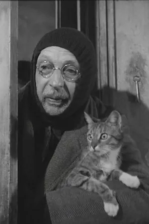 Постер к фильму Кошатник (1969)