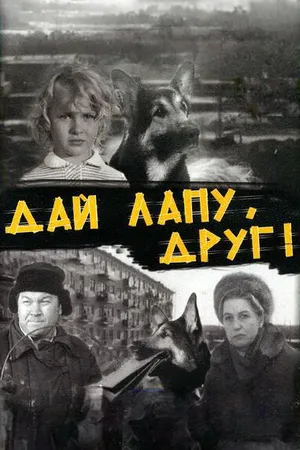 Постер к фильму Дай лапу, Друг (1967)