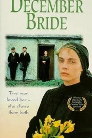 Постер к фильму Невеста декабря (1991)