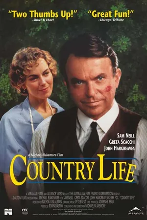 Постер к фильму Провинциальный роман (1994)