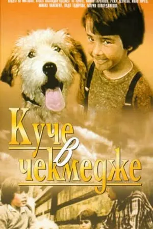 Постер к фильму Собака в ящике (1982)