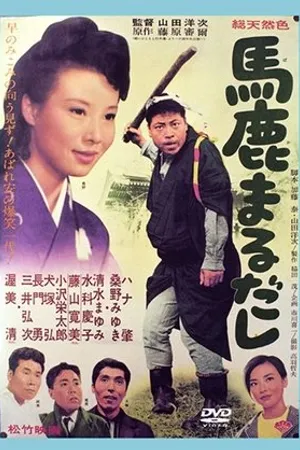Постер к фильму Круглый дурак (1964)