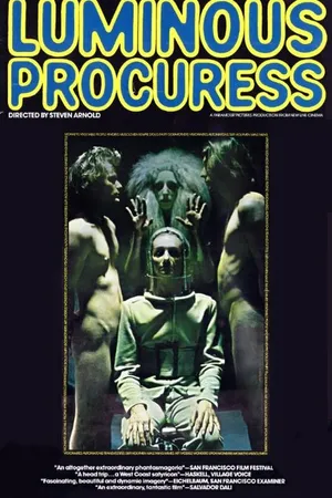 Постер к фильму Светящаяся сводница (1971)