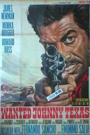 Постер к фильму Разыскивается Джонни Техасец (1967)