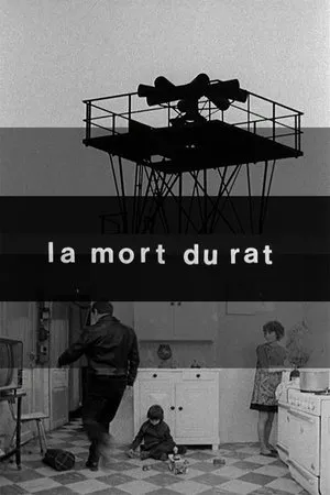 Постер к фильму Смерть крысы (1973)