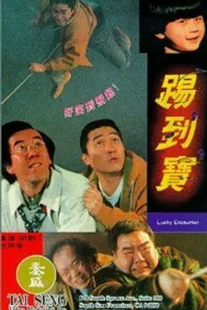 Постер к фильму Счастливая встреча (1992)
