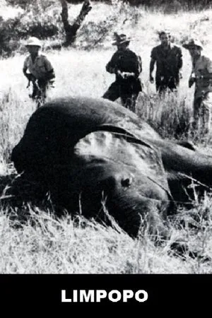 Постер к фильму Limpopo (1970)
