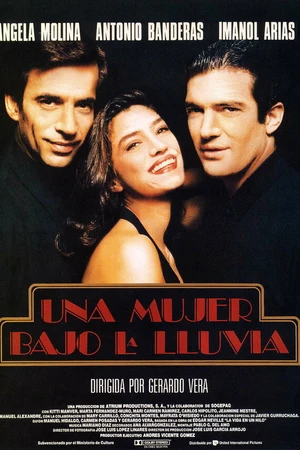 Постер к фильму Женщина под дождем (1991)