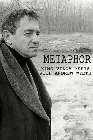Постер к фильму Метафора (1980)