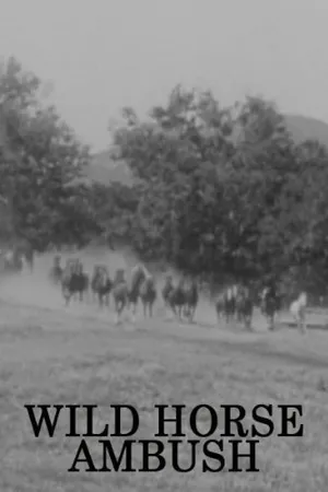 Постер к фильму Wild Horse Ambush (1952)
