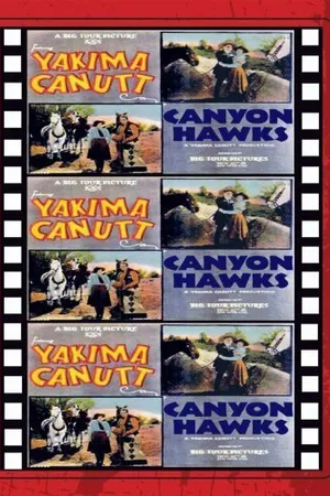 Постер к фильму Canyon Hawks (1930)