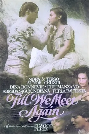 Постер к фильму Till We Meet Again (1985)