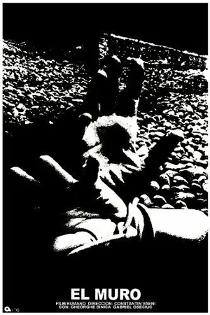 Постер к фильму Стена (1975)