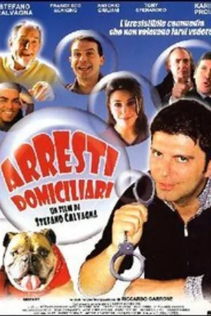 Постер к фильму Домашние аресты (2000)