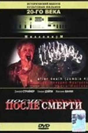 Постер к фильму После смерти (1989)