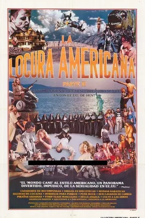Постер к фильму Это Америка. Часть II (1980)