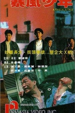 Постер к фильму Bao feng shao nian (1991)