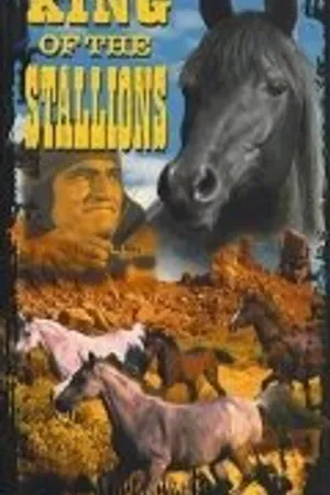 Постер к фильму King of the Stallions (1942)