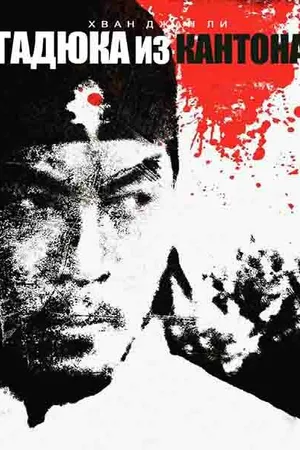 Постер к фильму Гадюка из Кантона (1983)