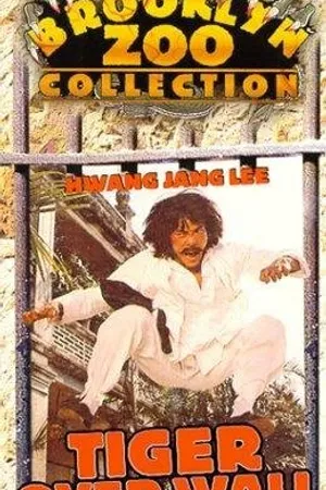 Постер к фильму Тигр за стеной (1980)