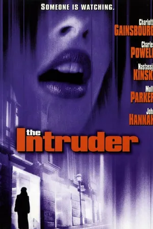 Постер к фильму Нарушительница (1999)
