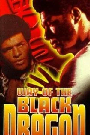 Постер к фильму Путь черного дракона (1978)