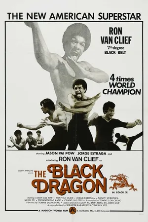 Постер к фильму Xia nan yang (1974)