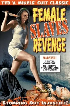 Постер к фильму Apartheid Slave-Women's Justice (1997)