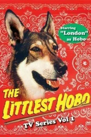 Постер к сериалу Маленький бродяга (1979 - 1985)