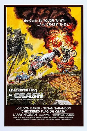 Постер к фильму Клетчатый флаг или катастрофа (1977)