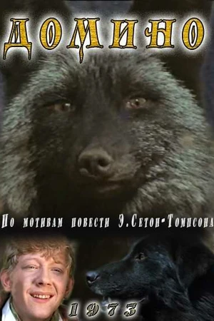Постер к фильму Домино (1973)