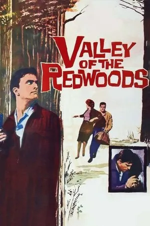 Постер к фильму Valley of the Redwoods (1960)