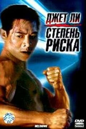 Постер к фильму Степень риска (1995)