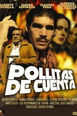 Постер к фильму Pollitas de cuenta (1999)