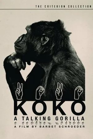 Постер к фильму Коко, говорящая горилла (1978)